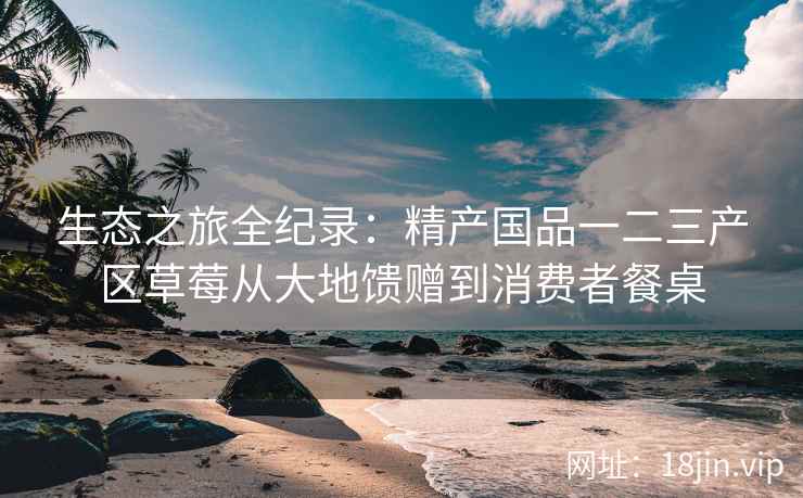 生态之旅全纪录：精产国品一二三产区草莓从大地馈赠到消费者餐桌