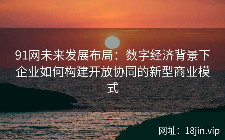 91网未来发展布局：数字经济背景下企业如何构建开放协同的新型商业模式