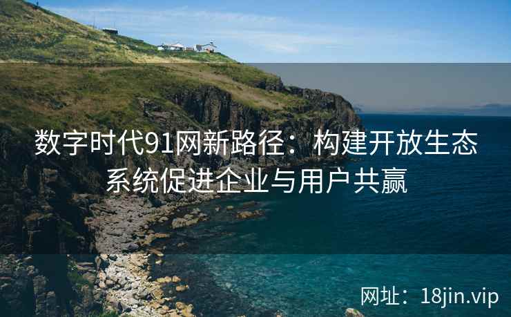 数字时代91网新路径：构建开放生态系统促进企业与用户共赢
