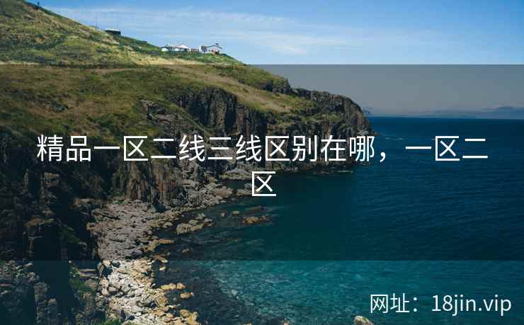 精品一区二线三线区别在哪，一区二区